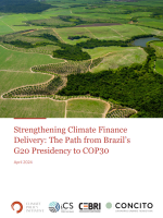 Strengthening Climate Finance Delivery: The Path from Brazil’s G20 Presidency to COP30