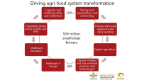 Agri food system transformation